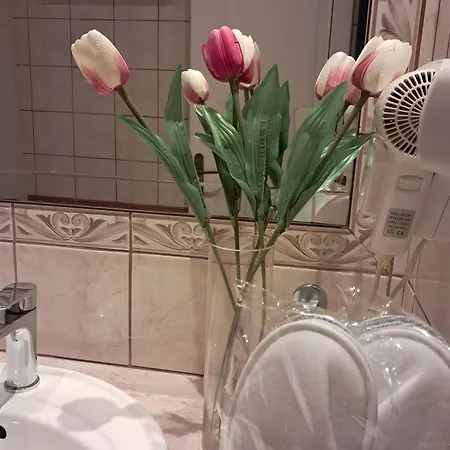 Spyridoula 13 パレオカストリッツア