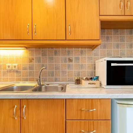 Hotel de apartamente Spyridoula 13