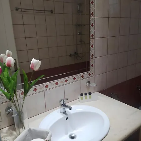 Spyridoula 13 3* パレオカストリッツア